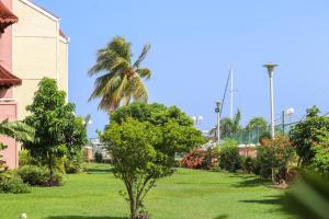 a lawn with a palm tree in front of a building at Fisherman Point Beach Resort in Ocho Rios