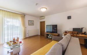 Televízia a/alebo spoločenská miestnosť v ubytovaní Apartman AS