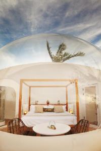 Photo de la galerie de l'établissement Green Land Bubble Glamping, à Cabarete