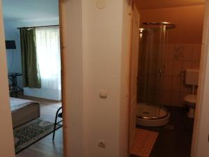 a bathroom with a shower and a toilet in it at Casa "La padure" in Bran +54 photos