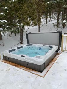 a hot tub in the snow with trees in the background at Aux Retrouvailles in Lac-Mégantic