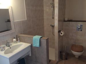 een badkamer met een wastafel en een toilet bij Chambre d'hotes grange de la bastide in Laveissière