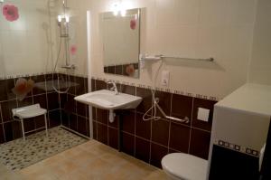a bathroom with a sink and a toilet and a mirror at AU DOMAINE DE CHASSE in Beauvoir-de-Marc +26 photos