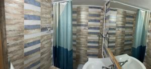 a bathroom with a sink and a shower at Sárkánytanya-Hanul Dragonului in Sicasău +17 photos