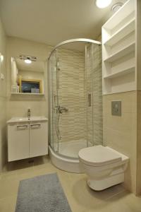 ein Bad mit einer Dusche, einem WC und einem Waschbecken in der Unterkunft Apartment Adam-Zlatiborska Vila I in Zlatibor
