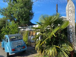 a blue truck parked next to a palm tree at French Andes Apart & Chile Campers Rental in Pucón