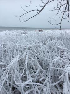 a blanket of snow on a beach at Bye the Bay Bed and Breakfast in Ridgetown