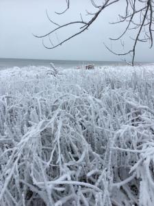 una manta de nieve en una playa en Bye the Bay Bed and Breakfast, en Ridgetown