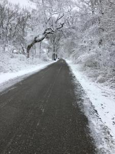 a road covered in snow with trees and a snow covered at Bye the Bay Bed and Breakfast in Ridgetown