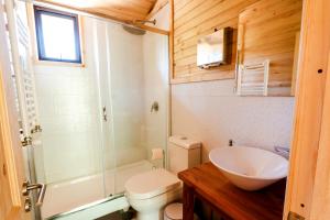 La salle de bains est pourvue d'un lavabo, de toilettes et d'une douche. dans l'établissement Vivelodge, à Las Trancas