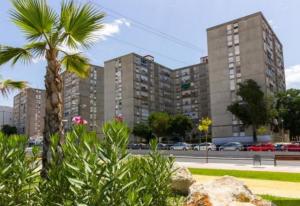 een groot gebouw met een palmboom ervoor bij PISO PLAZA CABECEO in Jerez de la Frontera