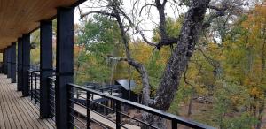 Fotografie z fotogalerie ubytování Vivelodge v destinaci Las Trancas