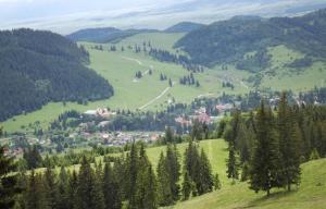 una colina verde con árboles y una ciudad en un valle en Csermely Panzio, en Izvoru Mureşului