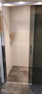cabina de ducha con puerta de cristal en una habitación en Ferienwohnung Berger, 
