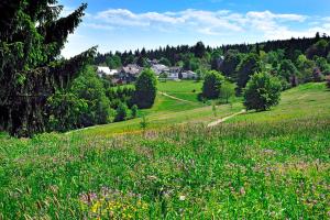 Gallery image of Ferienhaus Wurzelbergblick in Masserberg