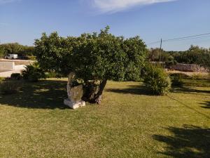 Gallery image of Barokhouse in Scicli +126 photos