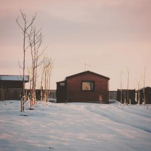 a building in a snow covered yard with trees at Hekla Nordicabin - Wild Cottage in Hella