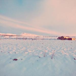 a field covered in snow with a building in the background at Hekla Nordicabin - Wild Cottage in Hella