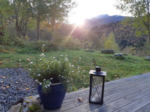 um deque de madeira com um vaso de plantas e uma mesa em Eidsdal Camping og Feriehus em Eidsdal
