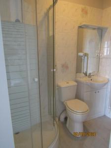 a bathroom with a toilet and a shower and a sink at Le Mareuillais Hotel-Restaurant in Mareuil-sur-Lay