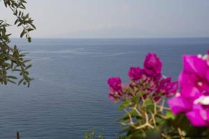 Paesaggio naturale nelle vicinanze dell'affittacamere