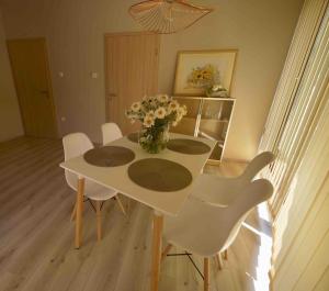 Rubin Apartman Zalakaros 8749 Zalakaros, Csermely utca 9. kép - 2