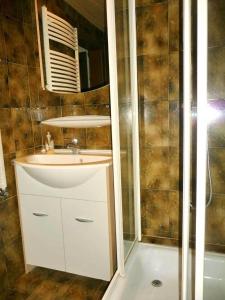 uma casa de banho com um lavatório e um chuveiro em Rastnerhof em San Lorenzo di Sebato