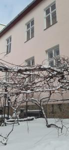 Lovecký Apartmán na náměstí ve Frenštátě pod Radhoštěm v zime