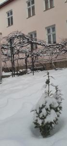 Lovecký Apartmán na náměstí ve Frenštátě pod Radhoštěm v zime