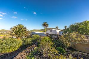 a house on the side of a hill with palm trees at Finca La Fuentecilla in Haría