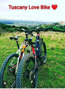 two bikes parked on top of a grassy hill at Bed and Breakfast Val Di Lupa in Castellina Marittima