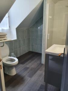 a bathroom with a toilet and a sink at Auberge La Caverne in Laruns