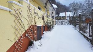 Lately renovated country house v zimě