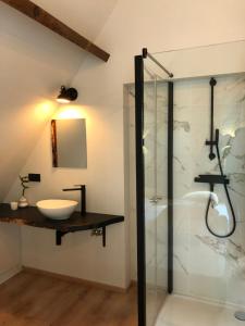 een badkamer met een wastafel en een douche bij Zeeparel XL in Koksijde