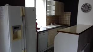 uma cozinha com um frigorífico branco e um lavatório em Gîte de la Py em Dontrien