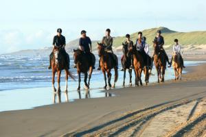 Επισκέπτες που μένουν στο Hotel Joli Bergen