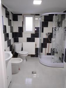e bagno con doccia, servizi igienici e lavandino. di Casa M a Câmpulung Moldovenesc