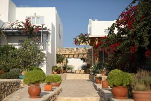 a courtyard with potted plants and flowers in a building at Aeolos Hotel in Koufonisia