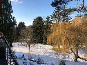 een sneeuwbedekte tuin met bomen en een hek bij Ferienhaus HAAGALM in Primstal