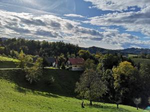 a house on a hill in a green field at Bauernhof Kure in Leutschach