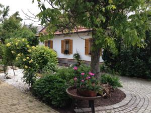 ein Haus mit einem Baum und Blumen davor in der Unterkunft Romantikchalet in Breitenbrunn