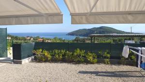 Naturlandskabet i nærheden af lejligheden