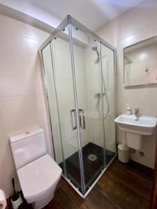 uma casa de banho com um chuveiro, um WC e um lavatório. em Casa Morgade em Sarria