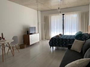 ein Wohnzimmer mit einem Bett, einem Sofa und einem Tisch in der Unterkunft Nuevo Loft en Palermo Hollywood in Buenos Aires