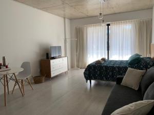 a living room with a bed and a couch and a table at Nuevo Loft en Palermo Hollywood in Buenos Aires