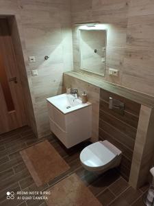 a bathroom with a toilet and a sink and a mirror at Apartmán BON in Horní Bečva