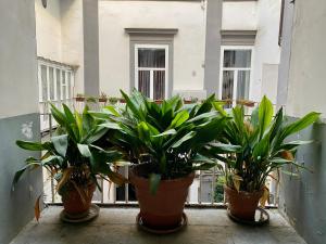 Bilde i galleriet til Un Posto Al Centro i Napoli