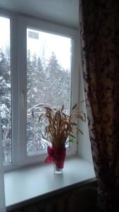 a window with a plant in a vase on a window sill at Philisa Na Turbaze in Pushkinskiye Gory