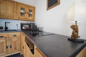 Η κουζίνα ή μικρή κουζίνα στο Le Petit Chalet - Cosy studio in Lathuile for 2 people