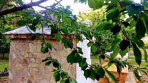 Fotografie z fotogalerie ubytování Krka fairytale village v destinaci Skradin